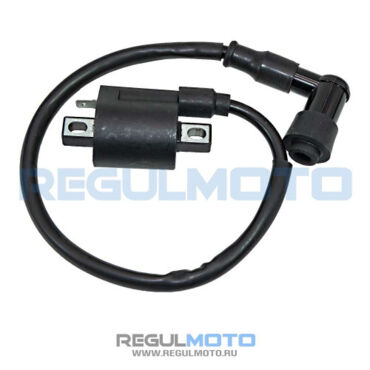 Катушка зажигания со свечным колпачком Regulmoto TE, Sport 003, 250 200GY 5, Duke  - миниатюра 1