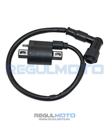 Катушка зажигания со свечным колпачком Regulmoto TE, Sport 003, 250 200GY 5, Duke 