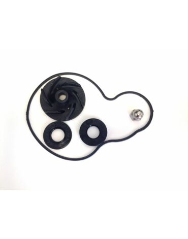 Ремкомплект помпы KTM 450SX F, 505SX F 07 12