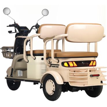 Электротрицикл Rutrike Gelbert Atlas 48V 60V 600Вт - миниатюра 5
