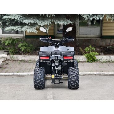 Квадроцикл Rmoto Lion 125 RR - миниатюра 8