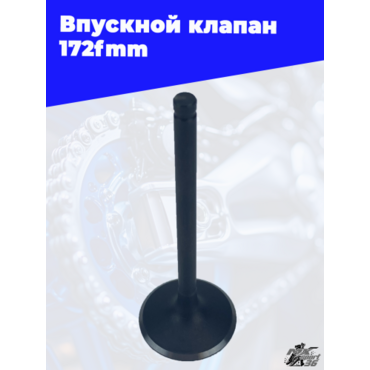 Впускной клапан 172fmm - миниатюра 2