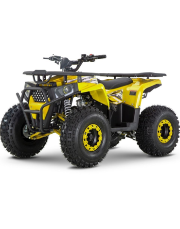 Квадроцикл WELS Trail 125