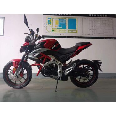 Мотоцикл ROLIZ SPIDER YS166FMM 250cc с ПТС - миниатюра 6