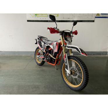 Мотоцикл ROLIZ SPORT 007 ZS172FMM 3A 250сс с ПТС - миниатюра 2