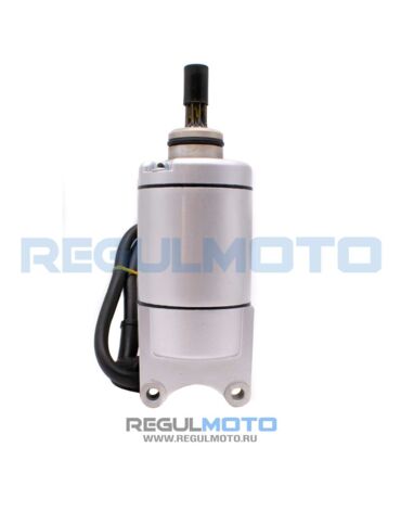 Электростартер в сборе ZS172FMM PR, CB300RL, PR300PRO