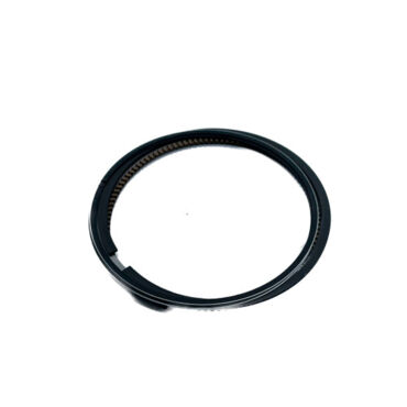 Кольца поршневые d 71 169FMM X TECH - миниатюра 2
