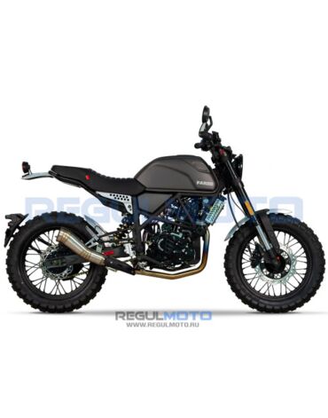 Мотоцикл Regulmoto FARGO 300 