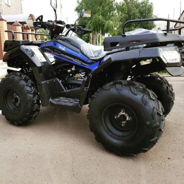 Квадроцикл Rato Cabo 200 S - миниатюра 3