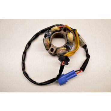 Статор генератора KTM 250SX F 05 10 - миниатюра 1