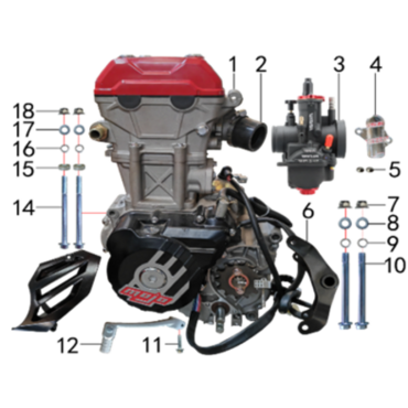 Двигатель в сборе 250cc TYX250-SR.129.1510 - миниатюра 1