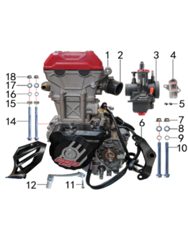 Двигатель в сборе 250cc TYX250-SR.129.1510