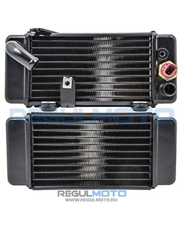 Радиатор охлаждения ДВС Regulmoto ADV левый 