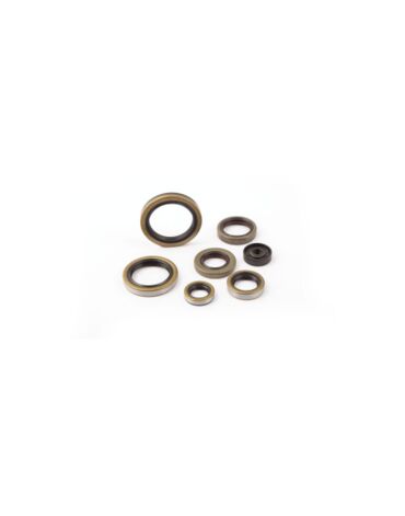 Комплект сальников двигателя KTM 250 300EXC 17 23 / Husqvarna TE250 300 17 23 / GasGas EC250 300 21 23