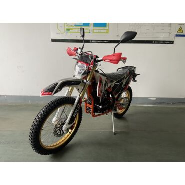 Мотоцикл ROLIZ SPORT 007 ZS172FMM 3A 250сс с ПТС - миниатюра 3