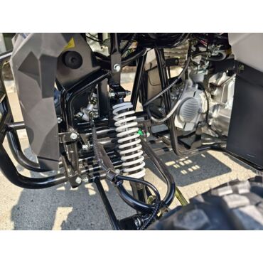 Квадроцикл Rmoto Lion 130 RR - миниатюра 7