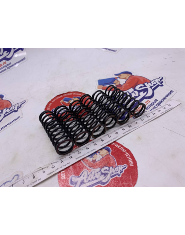 TRW MEF 313 6  CLUTCH SPRINGS усиленные пружины сцепления F800 GS / F700 GS // 10015911