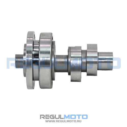 OEM 100130261