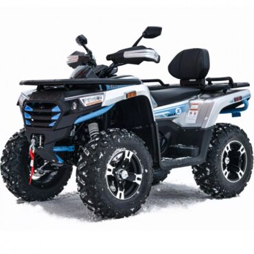 Квадроцикл Motoland 300 MAX X - миниатюра 2