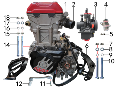 Двигатель в сборе 250cc TYX250-SR.129.1510 - фото 2