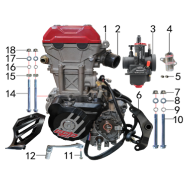 Двигатель в сборе 250cc TYX250-SR.129.1510 - миниатюра 2