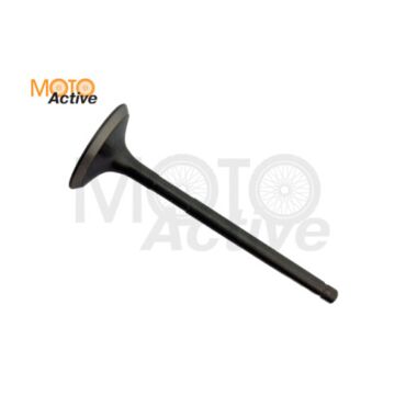 Клапан впускной WELS EVOX200 (263084001001) - миниатюра 1