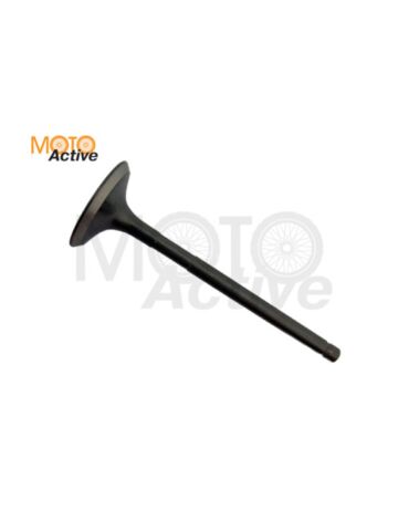 Клапан впускной WELS EVOX200 (263084001001)