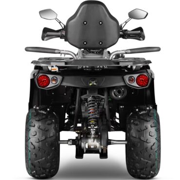 Квадроцикл GLADIATOR F200 LONGLUX - миниатюра 2