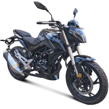 Дорожный мотоцикл TMBK Dukes PRO 250cc - миниатюра 1