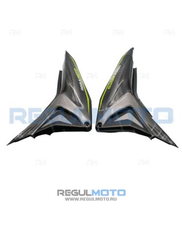 Облицовка боковая Regulmoto TE 