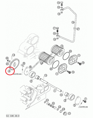 Шестерня масляного насоса KTM(03 12) 4т, original