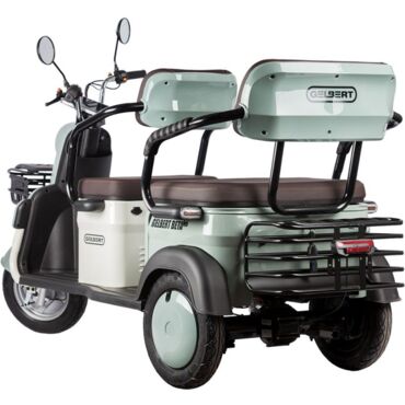 Электротрицикл Rutrike Gelbert Beta 48V 60V 800Вт - миниатюра 6