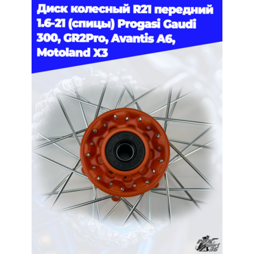 диск колесный R21 передний 1.6 21 (спицы) Progasi Gaudi 300, GR2Pro, Avantis A6, Motoland X3 - миниатюра 2