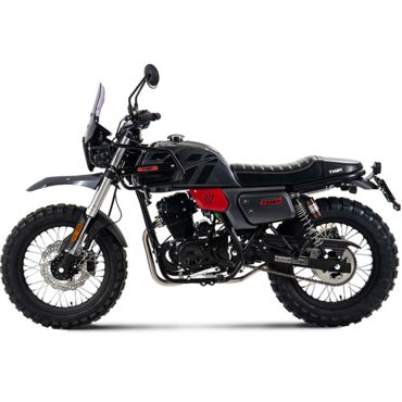 Дорожный мотоцикл TMBK FAHRENHEIT 250 (165 FMM) - миниатюра 4