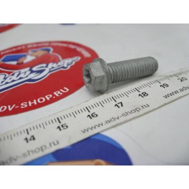 KTM HH collar screw M8x25 болт крепления оси ( 0025080256 / 0015080253 ) - миниатюра 1