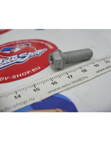 KTM HH collar screw M8x25 болт крепления оси ( 0025080256 / 0015080253 )