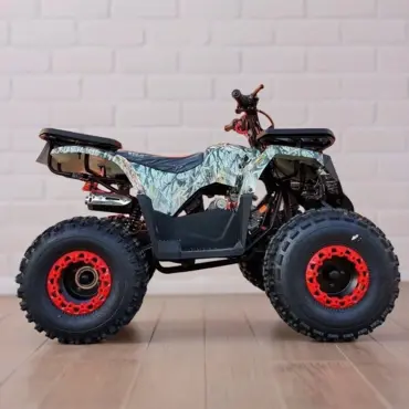 Квадроцикл WELS Thunder E2 - миниатюра 4