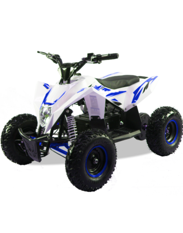 Детский электро квадроцикл MOTAX GEKKON 1300W
