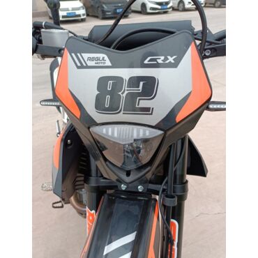 Мотоцикл Regulmoto CR X 300 - миниатюра 10