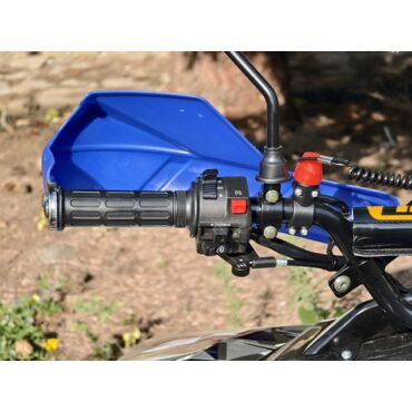 Квадроцикл Rmoto Lion 125 RR - миниатюра 9