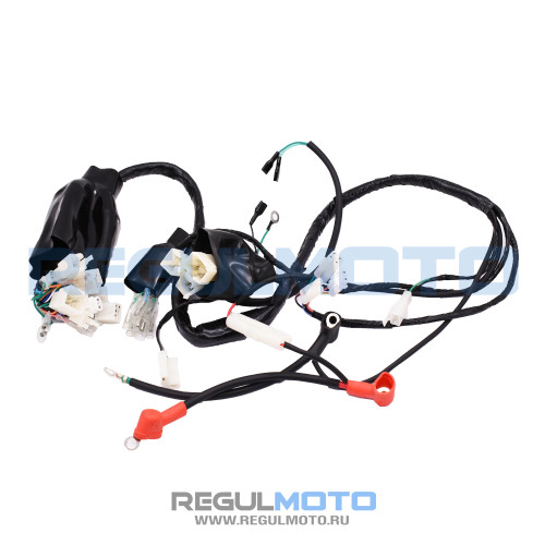 Жгут электропроводки Sport 003 PR250,300  - фото 1