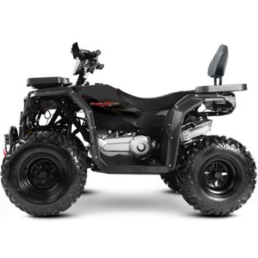 Квадроцикл Progasi Race Jumper Max Power 200 - миниатюра 2