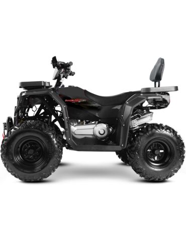 Квадроцикл Progasi Race Jumper Max Power 200