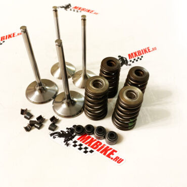 Комплект клапанов с пружинами KTM 450 530 EXC 08 13 / Husaberg FE450, FE501 12 13 - миниатюра 2