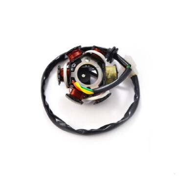 Статор генератора TTR125 (6 катушек) SM PARTS - миниатюра 1