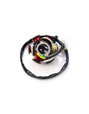 Статор генератора TTR125 (6 катушек) SM PARTS