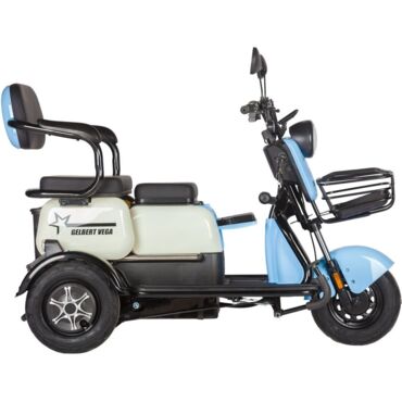 Электротрицикл Rutrike Gelbert Vega 48V 60V 600Вт - миниатюра 3