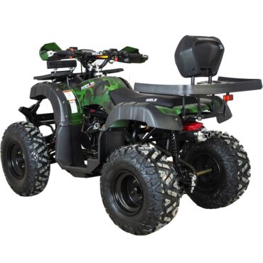 Квадроцикл WELS THUNDER 200cc HS (АХ200) - миниатюра 1