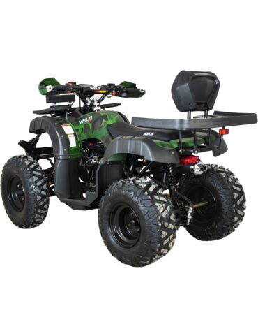 Квадроцикл WELS THUNDER 200cc HS (АХ200)