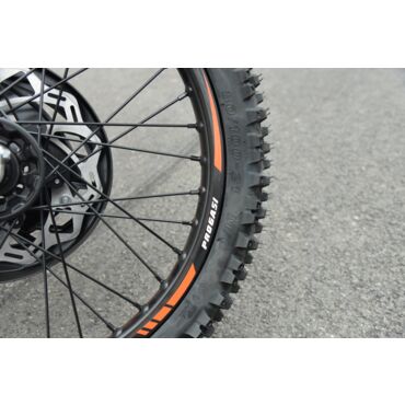 Мотоцикл Progasi Endurance 300 EFI - миниатюра 11